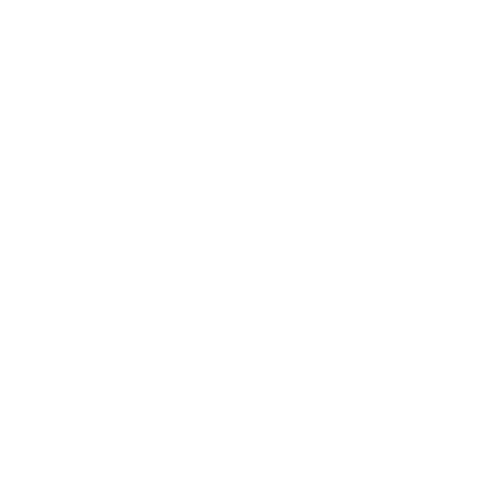 logo-the-norse-brand